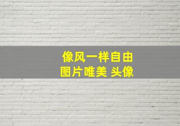 像风一样自由图片唯美 头像